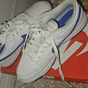 Nike dunks